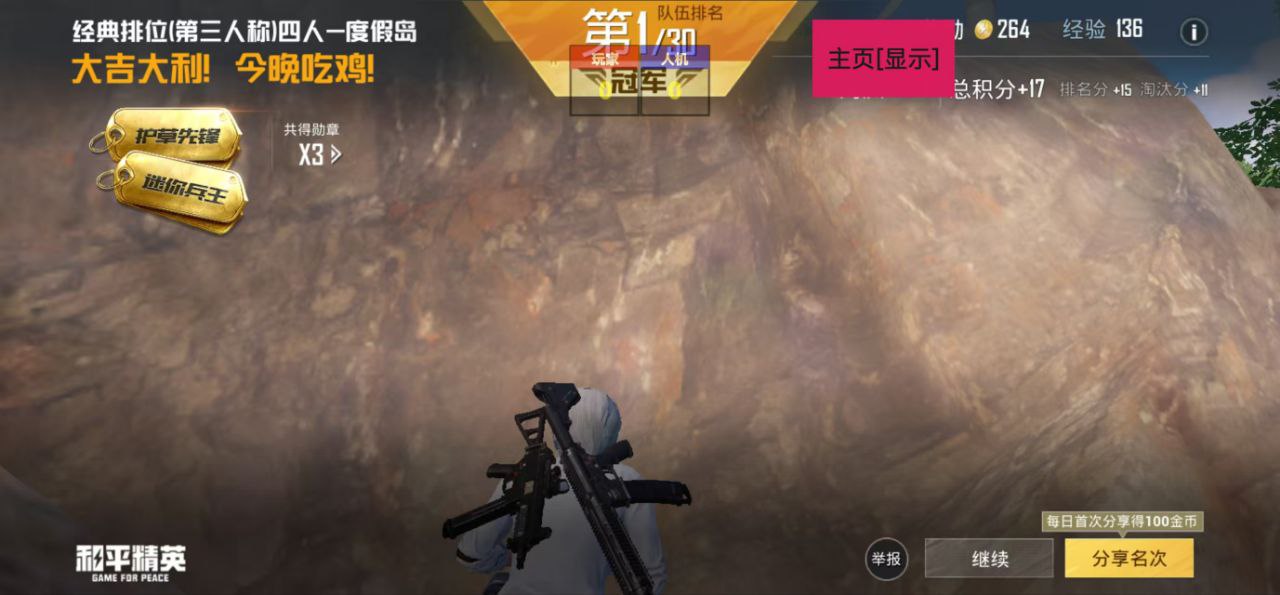 和平精英辅助软件的发展与影响分析